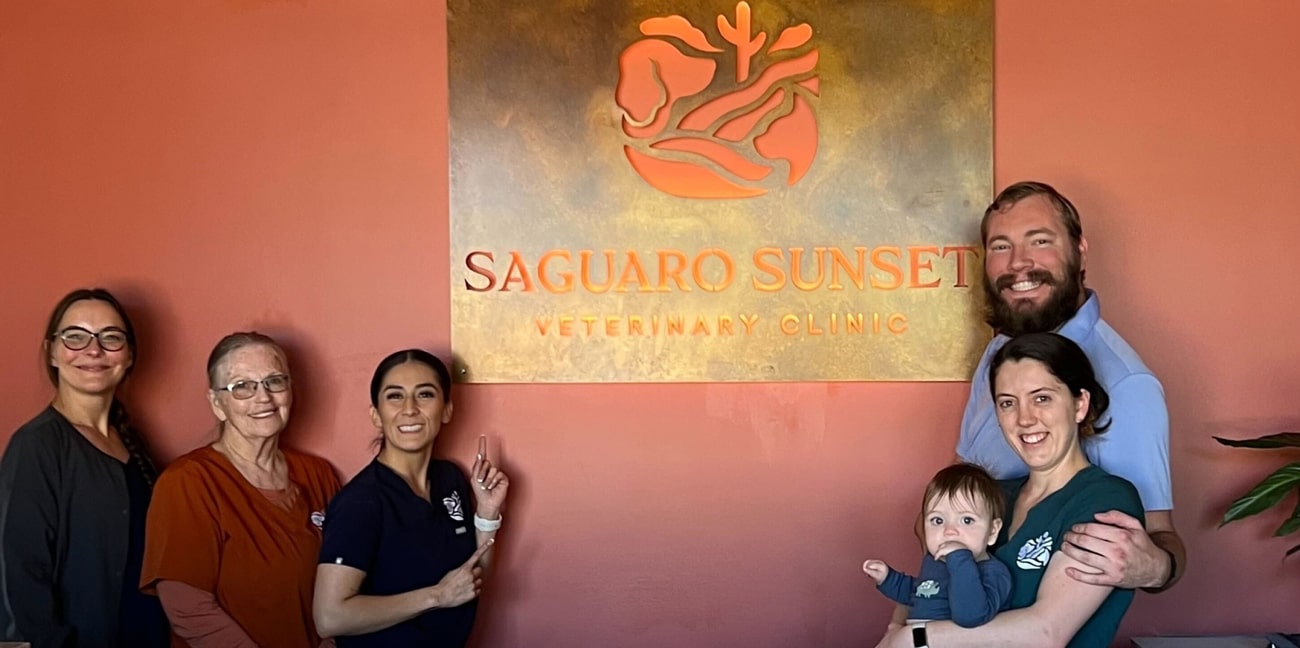 Meet-the-Caring-Faces-Behind-Saguaro-Sunset-Veterinary-Clinic-2 Happy dog with owner on a hike after vet care services in Tucson AZ