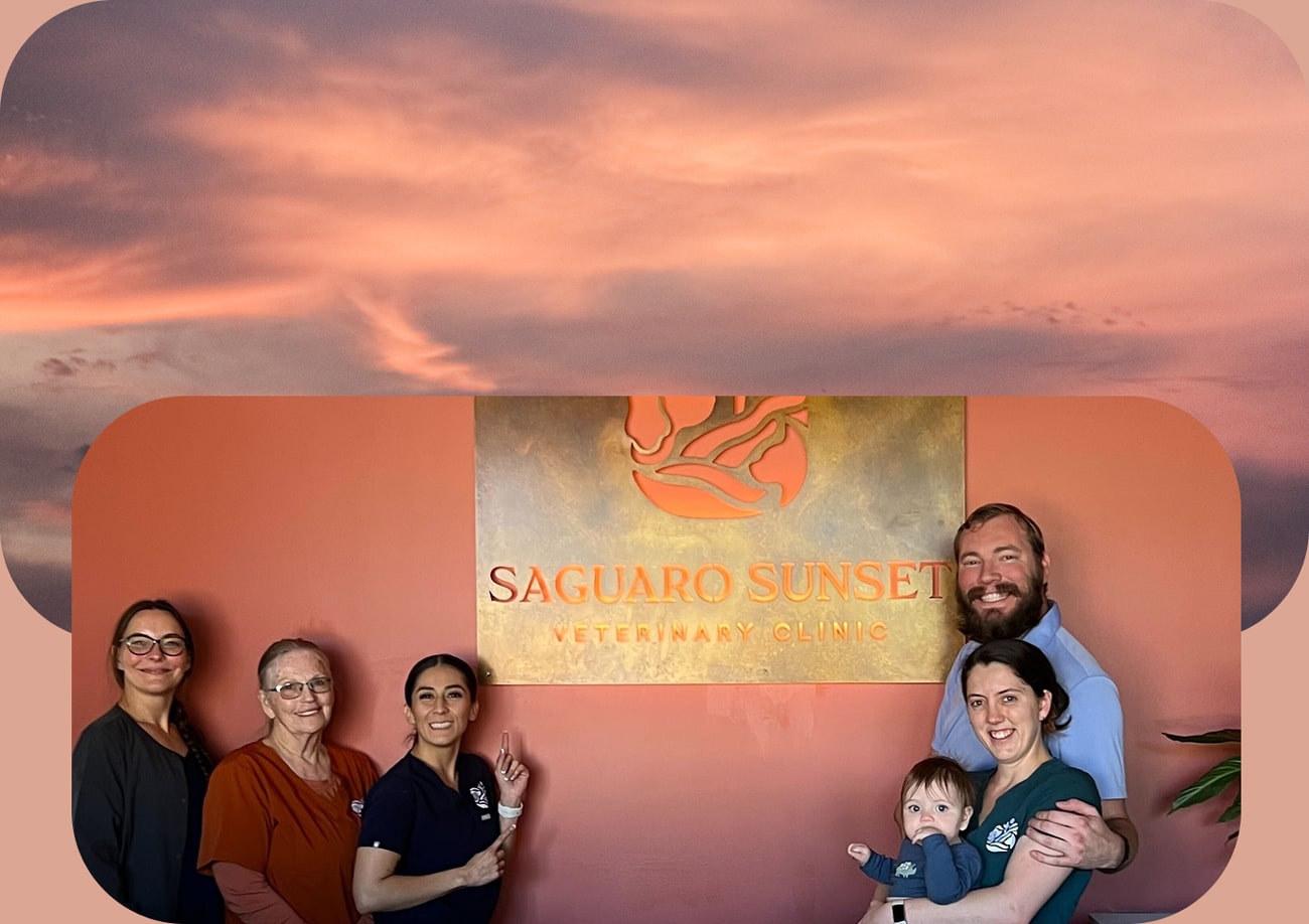 Meet-the-Caring-Faces-Behind-Saguaro-Sunset-Veterinary-Clinic-Mobile Cactus photo for veterinary medicine in tucson AZ and happy dog with owner on a hike
