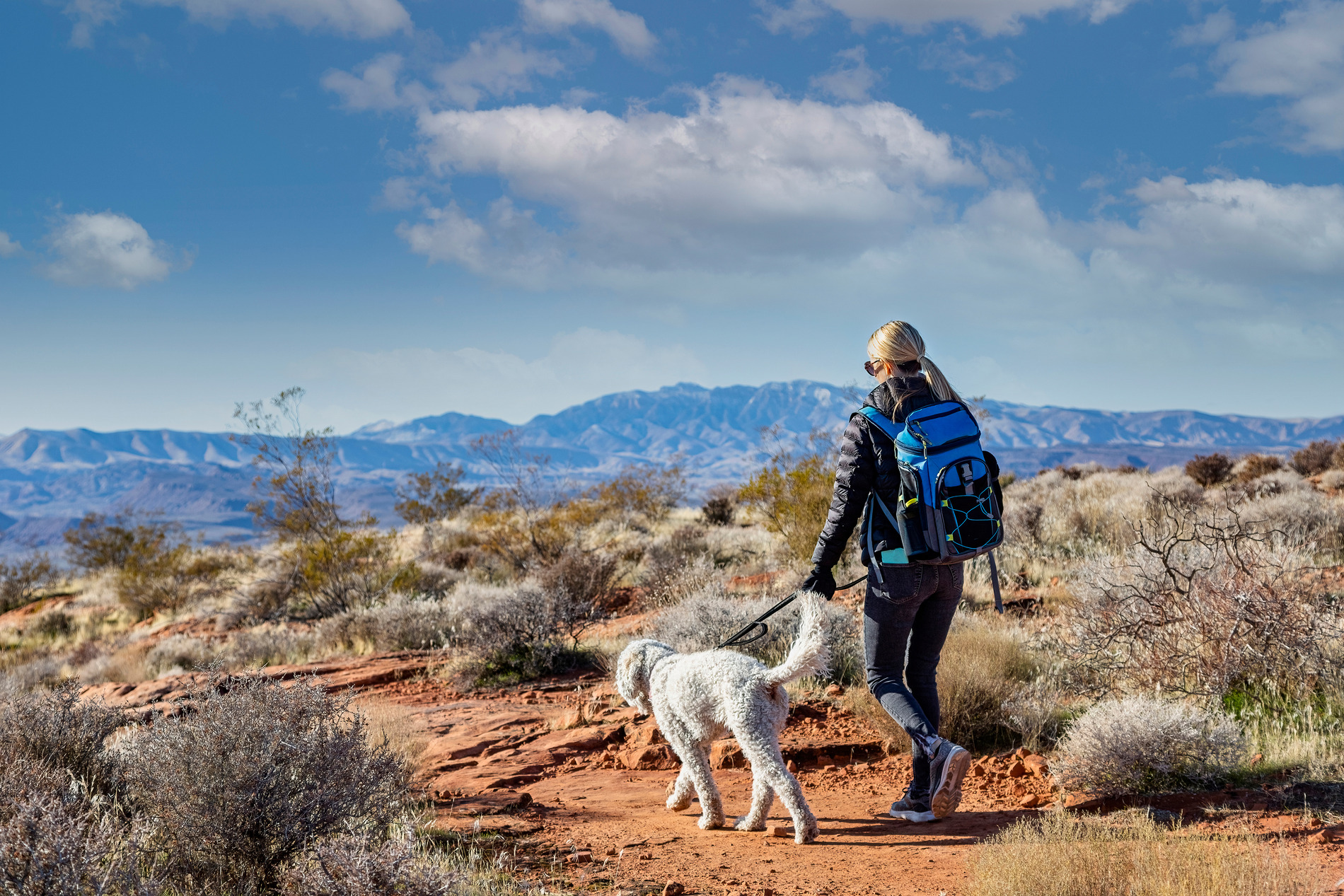 AdobeStock_496947993 v2 Woman walking her dog in Arizona after getting a diagnosis for her pet