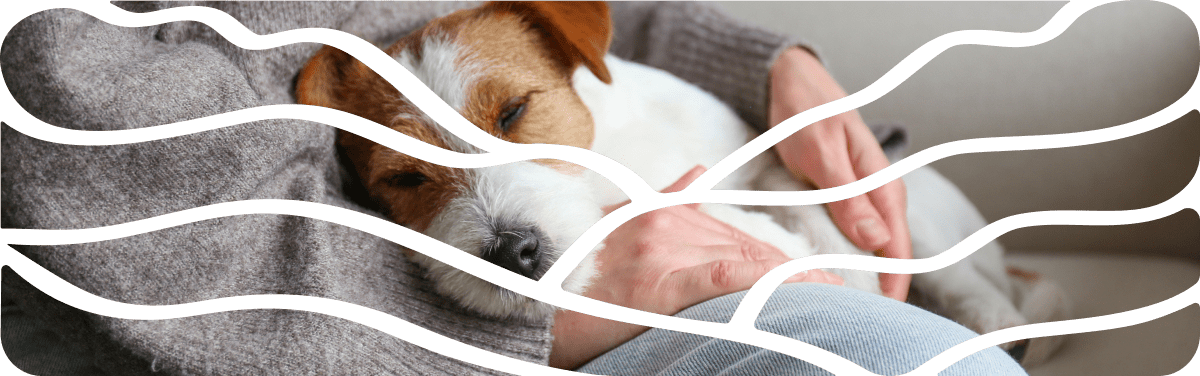 About us page photo of woman and her dog in Tuscan AZ