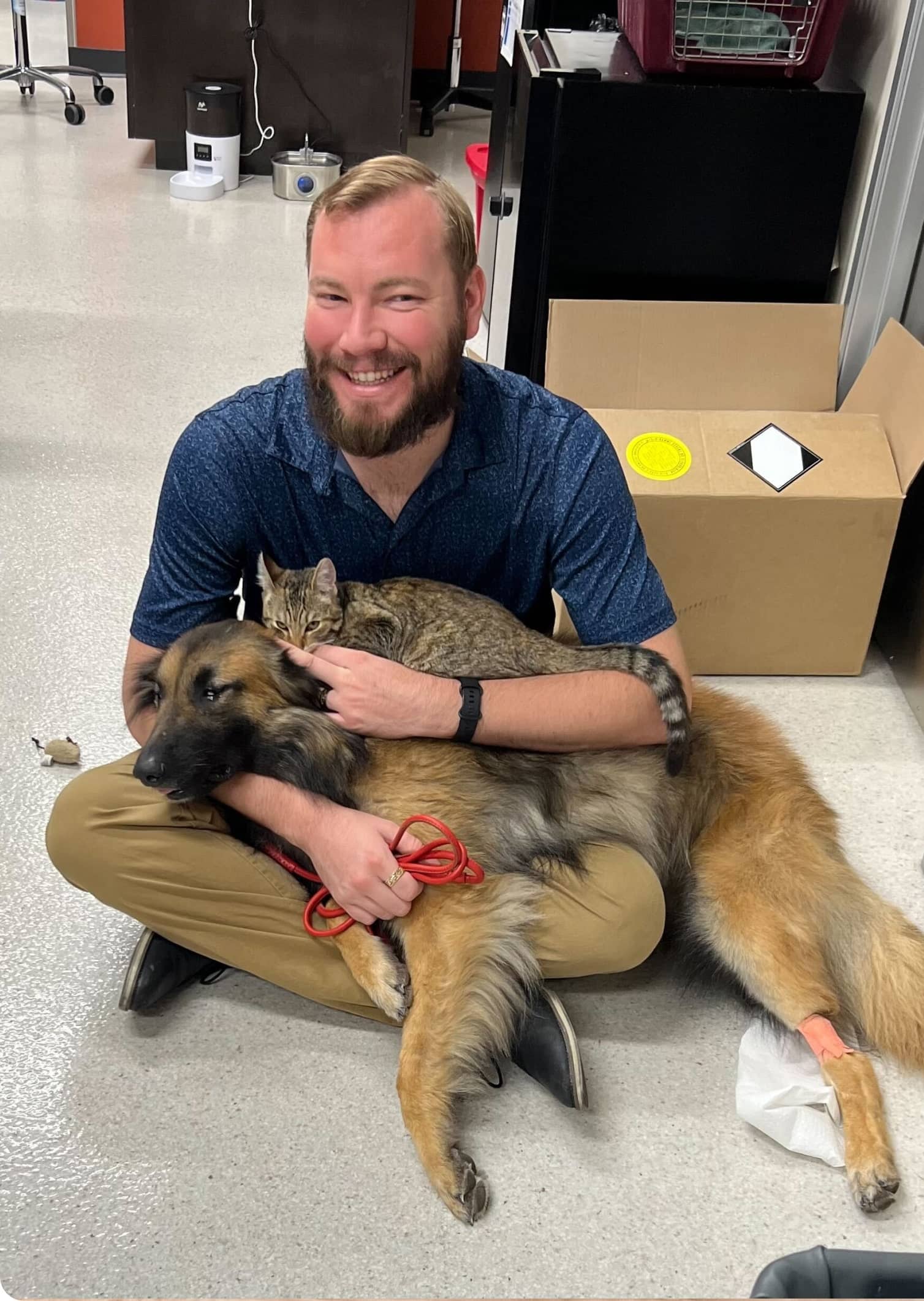 Happy cat at Saguaro Sunset Veterinary Clinic in Tucson AZ