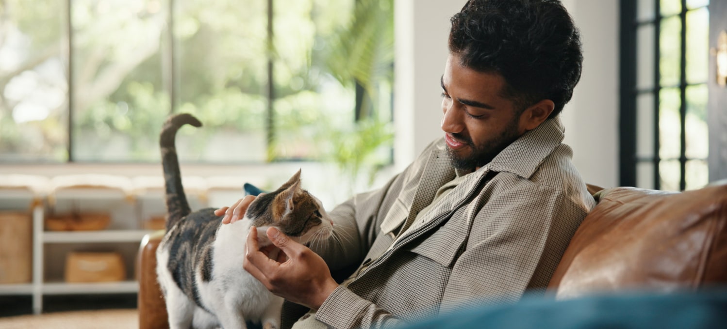 Owner schedules a pet dental cleaning for his cat in Arizona