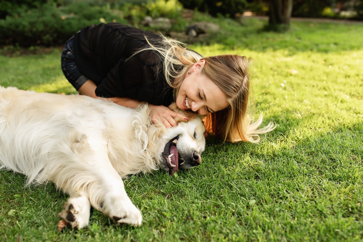 Dog plays with owner on the way to a pet dental cleaning appointment in Tucson AZ