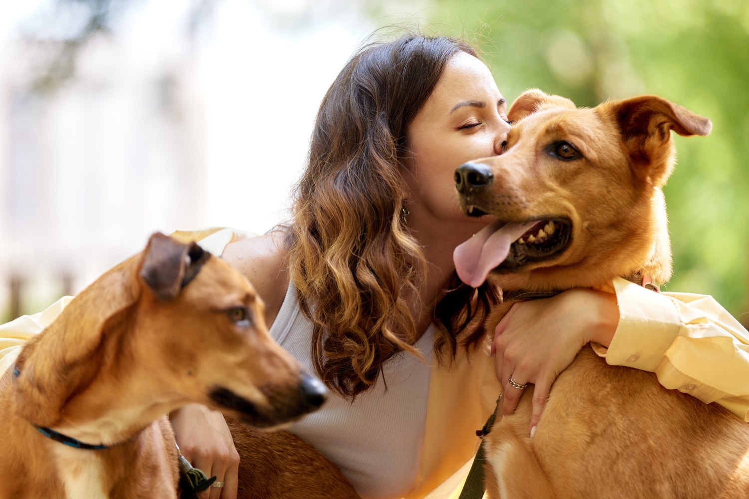 Dogs enjoying the sun with owner after a parasite prevention appointment in Tucson